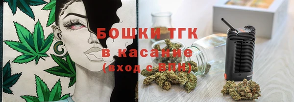 прущие грибы Новозыбков