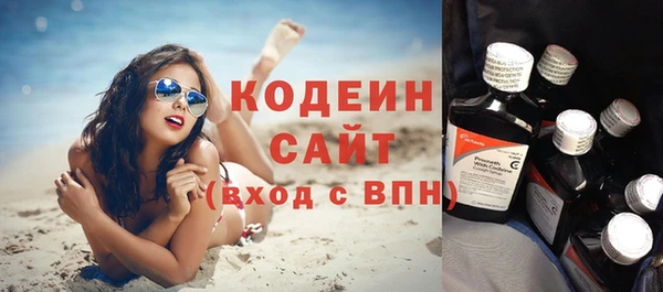 прущие грибы Новозыбков