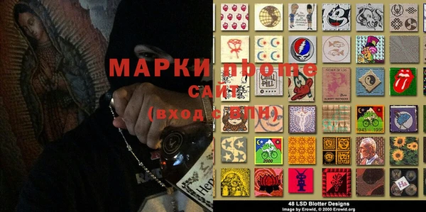 прущие грибы Новозыбков