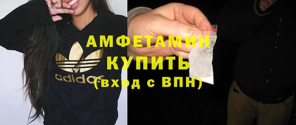 прущие грибы Новозыбков