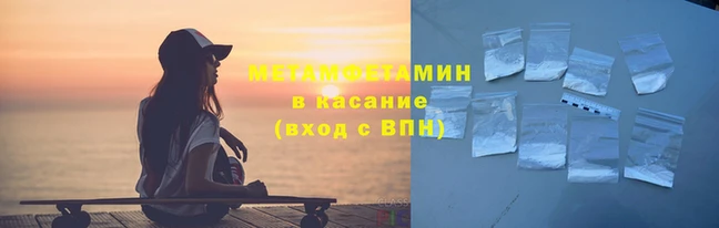 прущие грибы Новозыбков