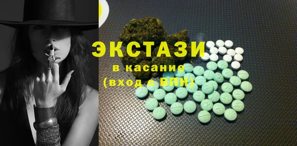 прущие грибы Новозыбков