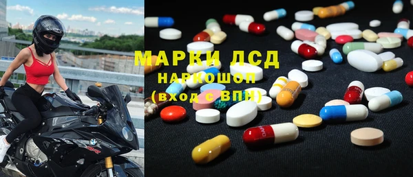 прущие грибы Новозыбков
