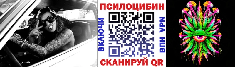 Псилоцибиновые грибы Psilocybine cubensis  где найти наркотики  Приволжск 