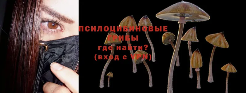 цены   даркнет клад  Галлюциногенные грибы MAGIC MUSHROOMS  Приволжск 